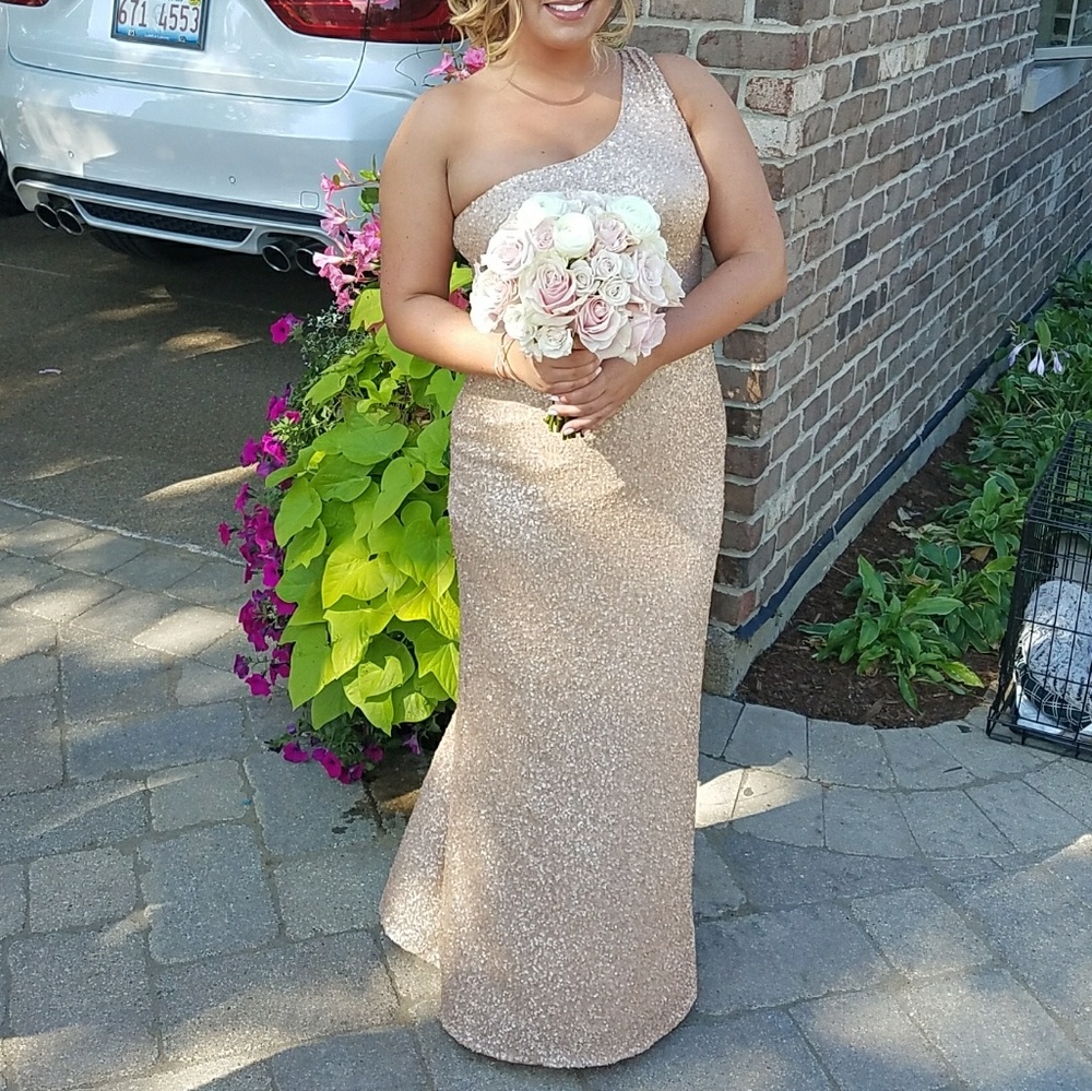 Rose Gold Sequin Dress